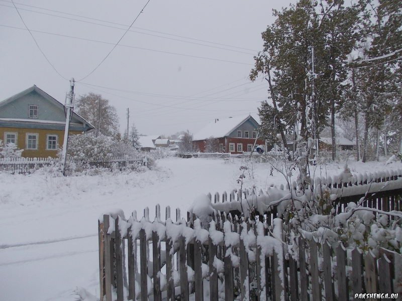 В Пакшеньге первый снег. 11 октября 2014 г.